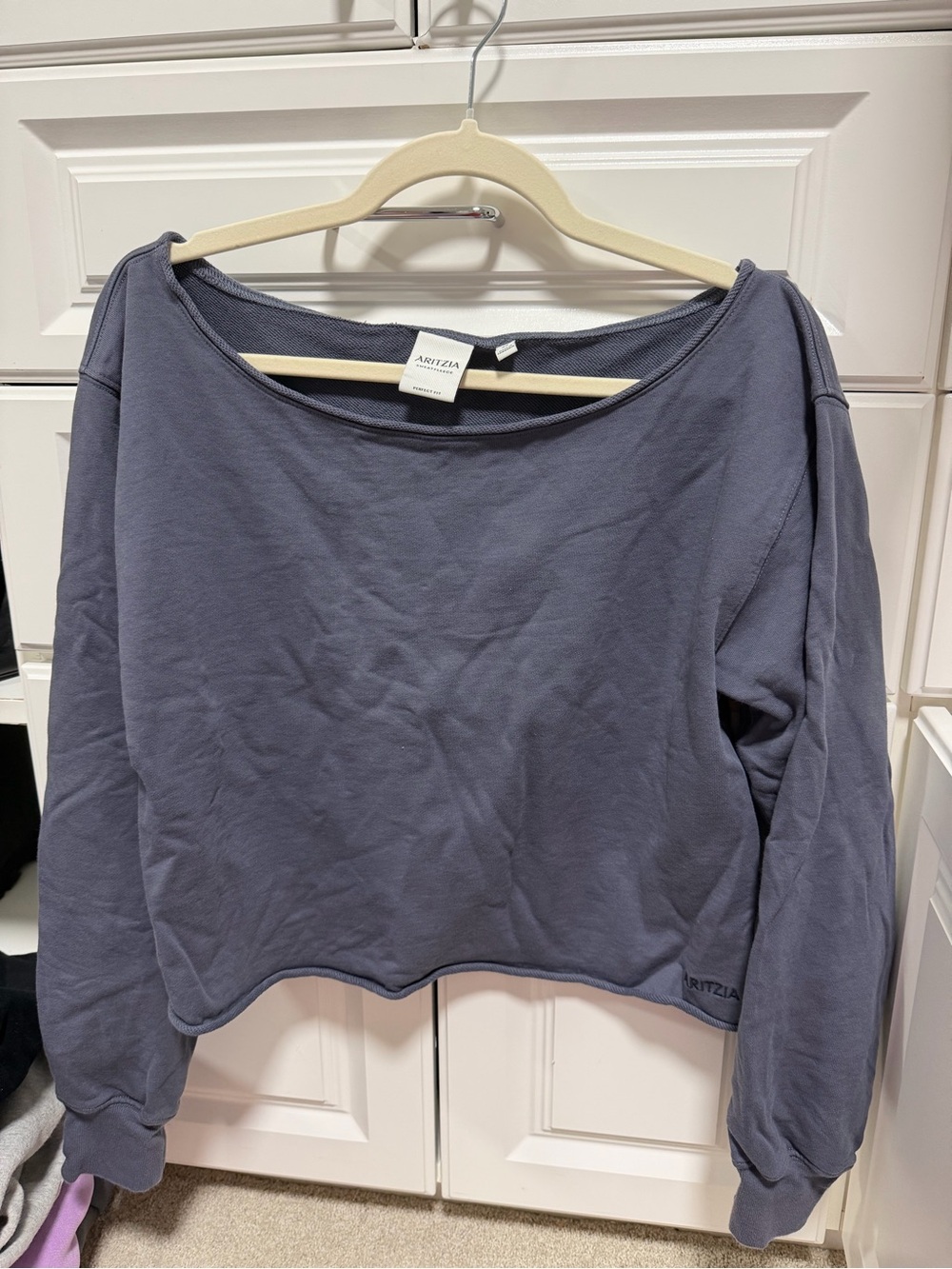 Aritzia sweatfleece boyfriend Blue Cropped Sweatshirt
